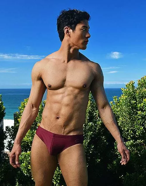 V10 Core Swimwear (Series 2)-Tawny Port^2EROS Shop